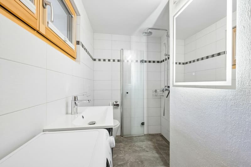Nasszelle mit Dusche