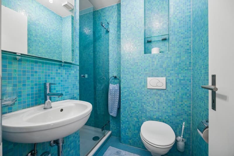 Nasszelle mit Dusche