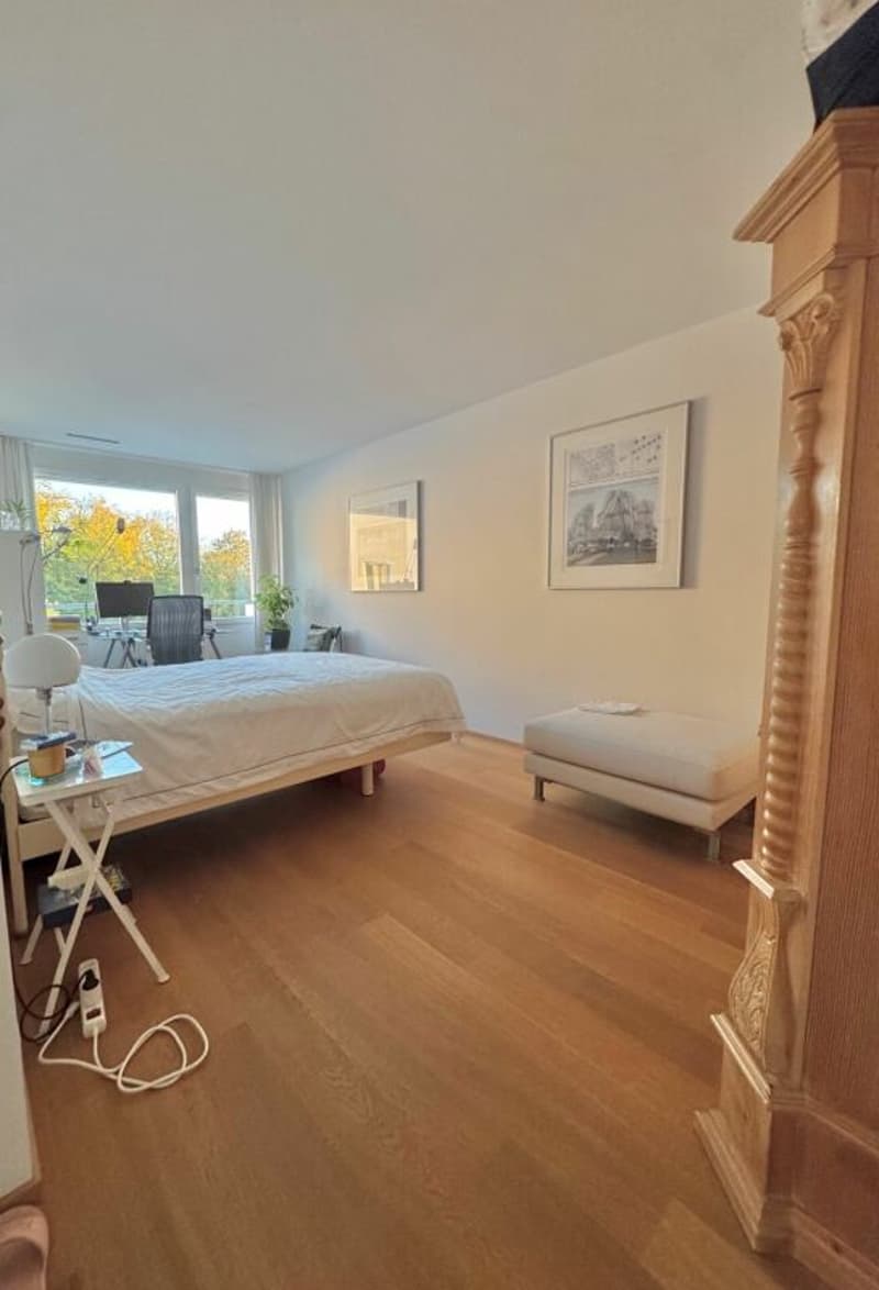 Aussergewöhnliche Attika-Maisonettewohnung an Toplage (8)