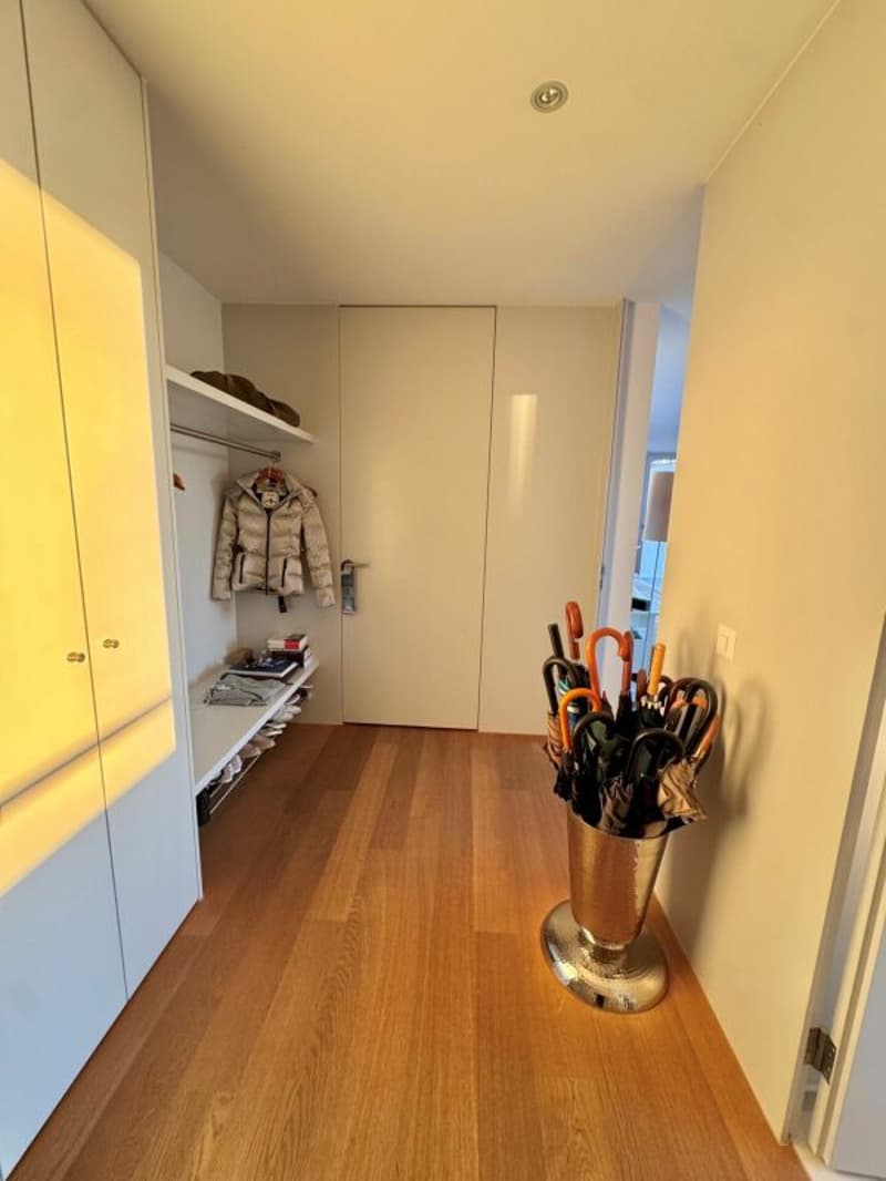 Aussergewöhnliche Attika-Maisonettewohnung an Toplage (5)