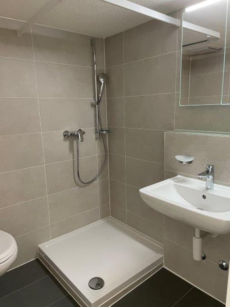 renovierte und moderne Studio-Wohnungen zu vermieten (5)