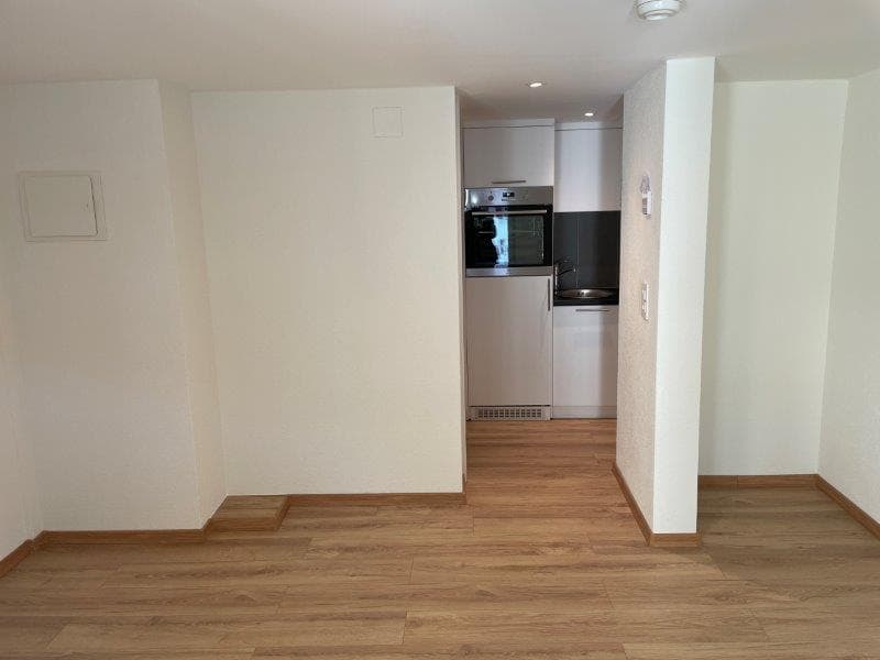 renovierte und moderne Studio-Wohnungen zu vermieten (4)