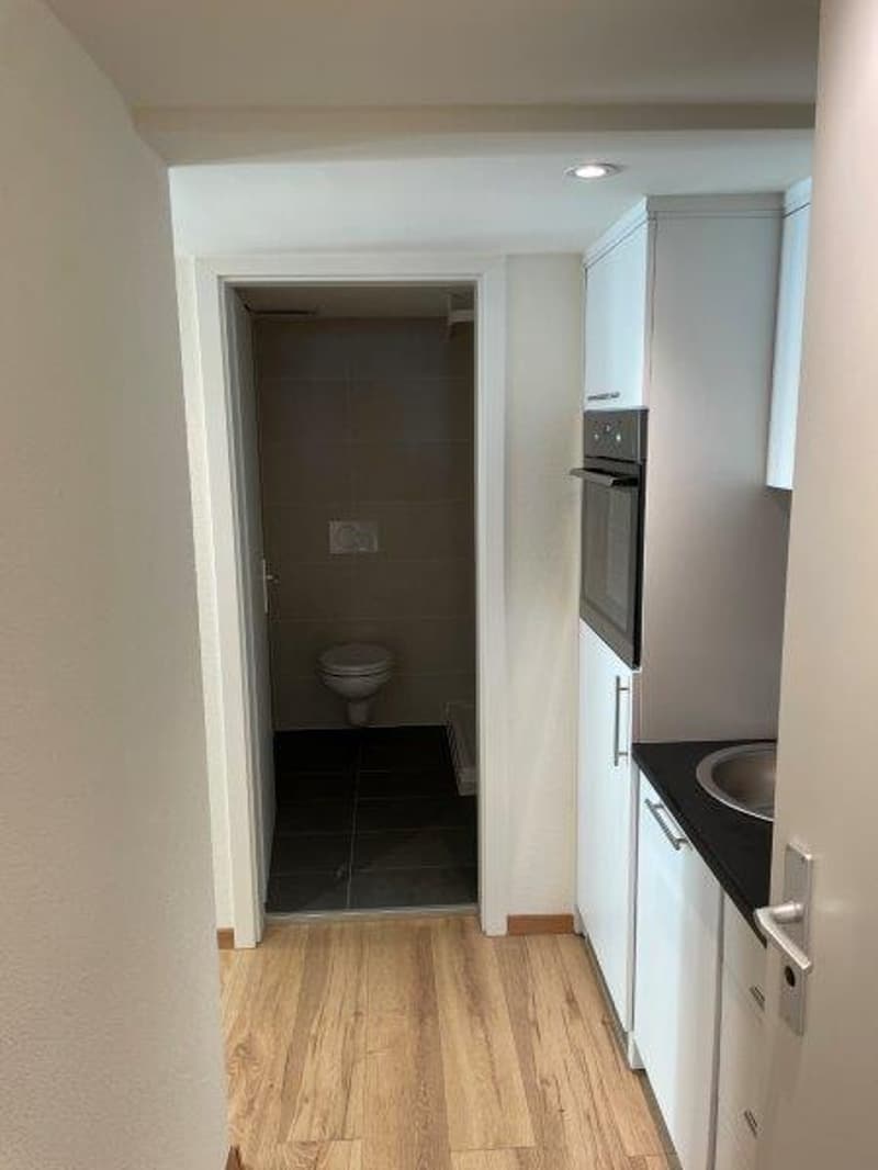 renovierte und moderne Studio-Wohnungen zu vermieten (3)