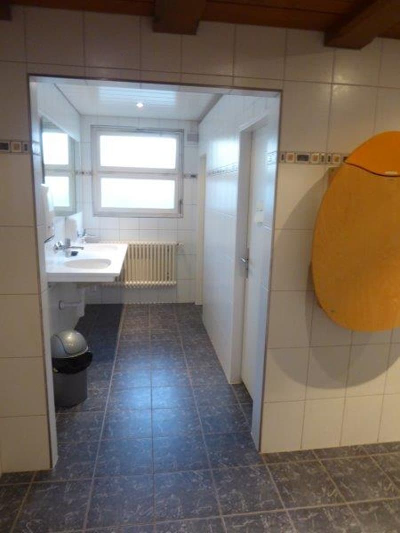 bathroom with white sink, mirror, radiator, trash bin, and windows