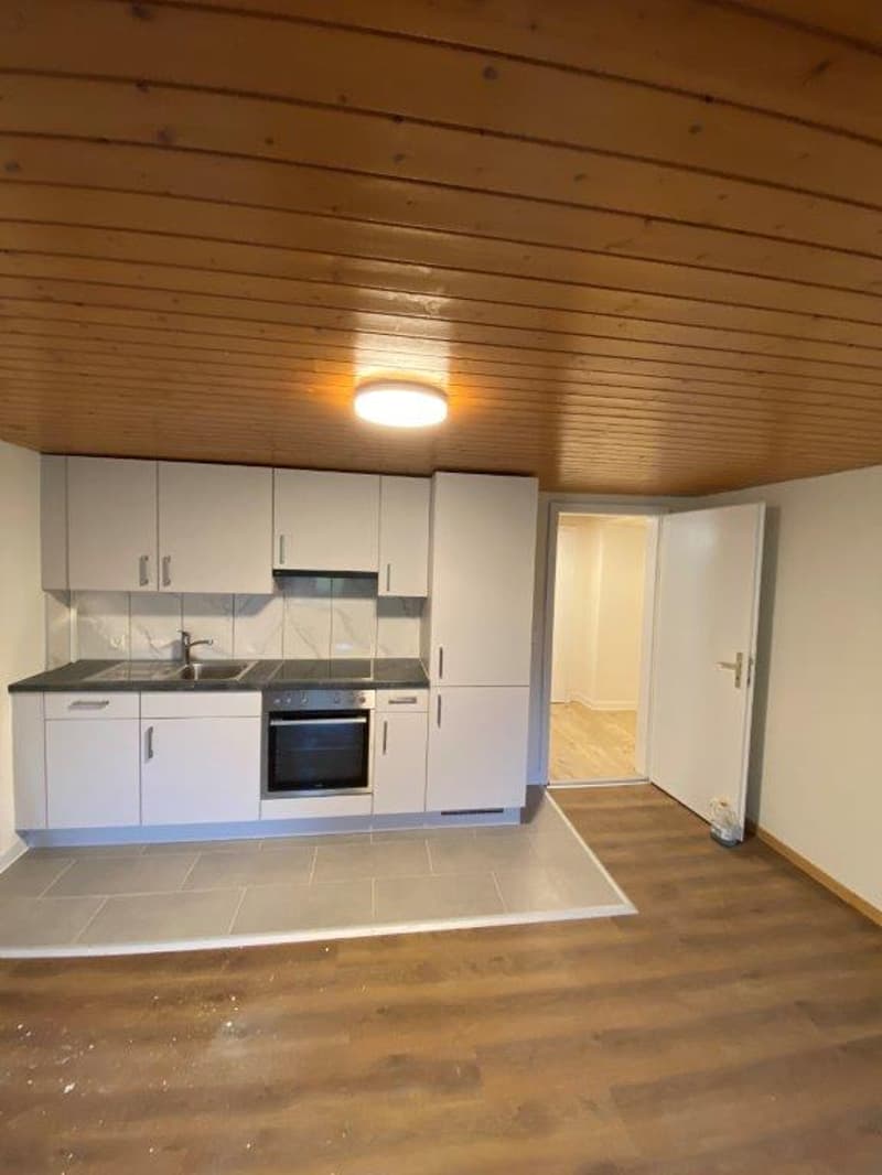 Neu renovierte  2-Z-Wohnung  in einer grüner und ruhigen Lage zu vermieten (2)