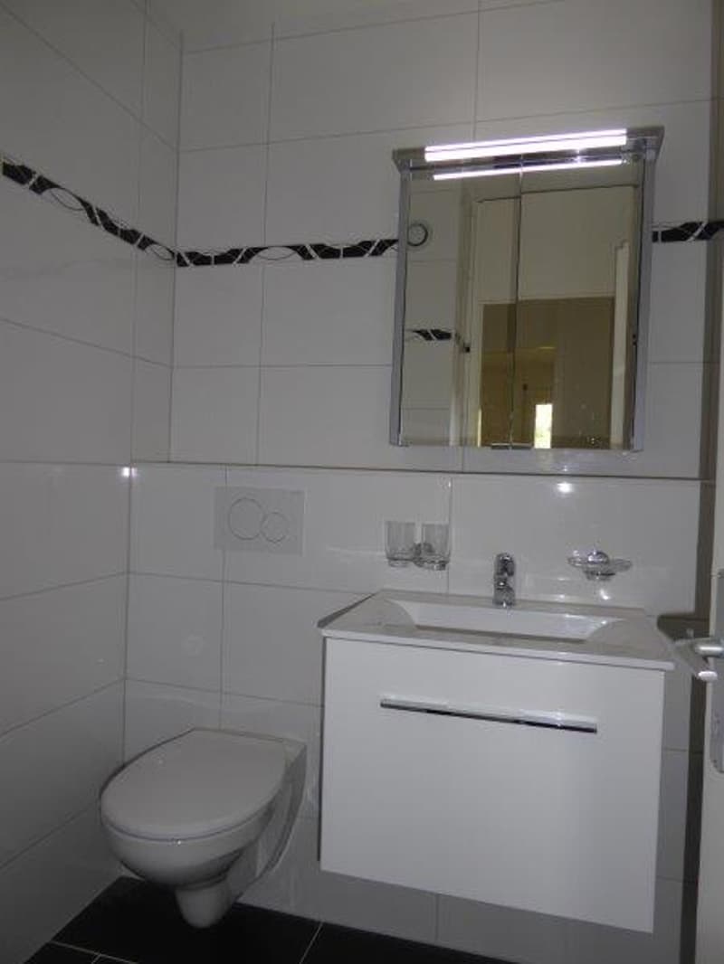 Charmant appartement de 3 pièces avec 2 balcons à Sierre (6)
