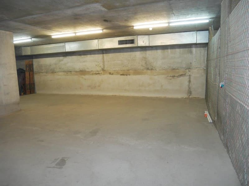 Large open basement space with concrete walls and floor, fluorescent lighting, and a ventilation system visible.
