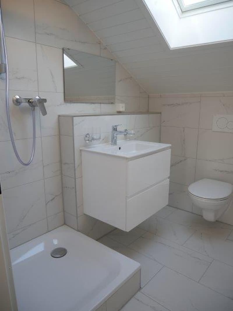 Bathroom with shower, sink, toilet, and mirror