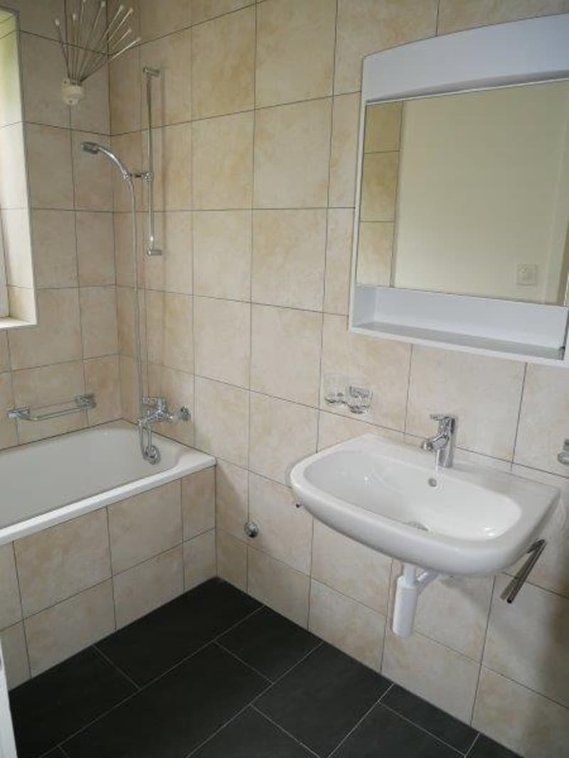 Tiled bathroom with a shower, sink, and mirror
