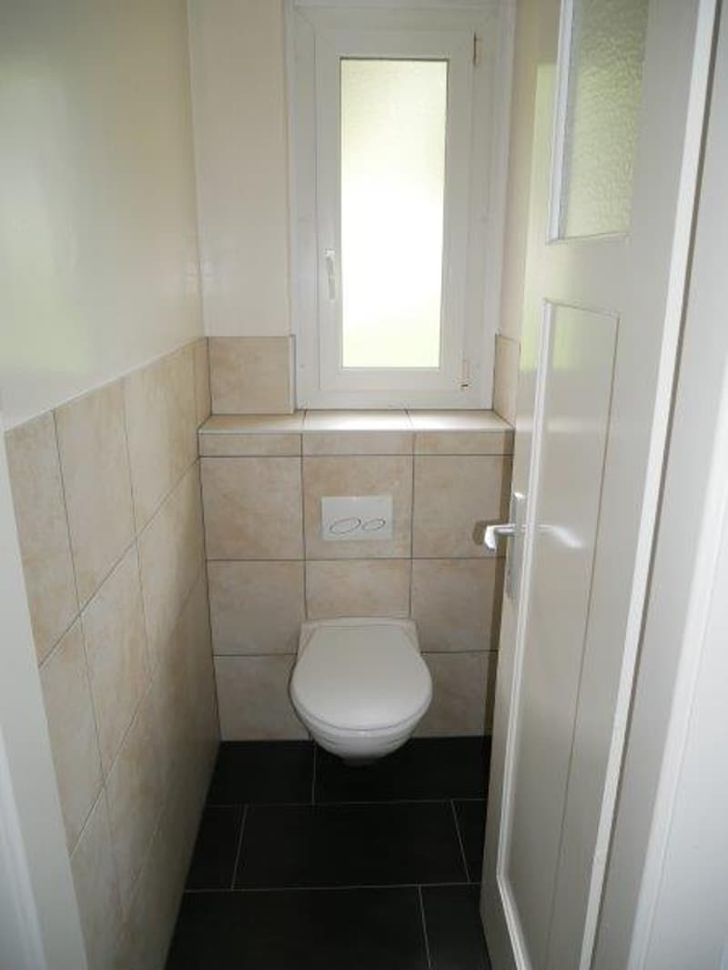 The image shows a bathroom with a white toilet, tiled walls, and a small window. The floor is covered with dark tiles.