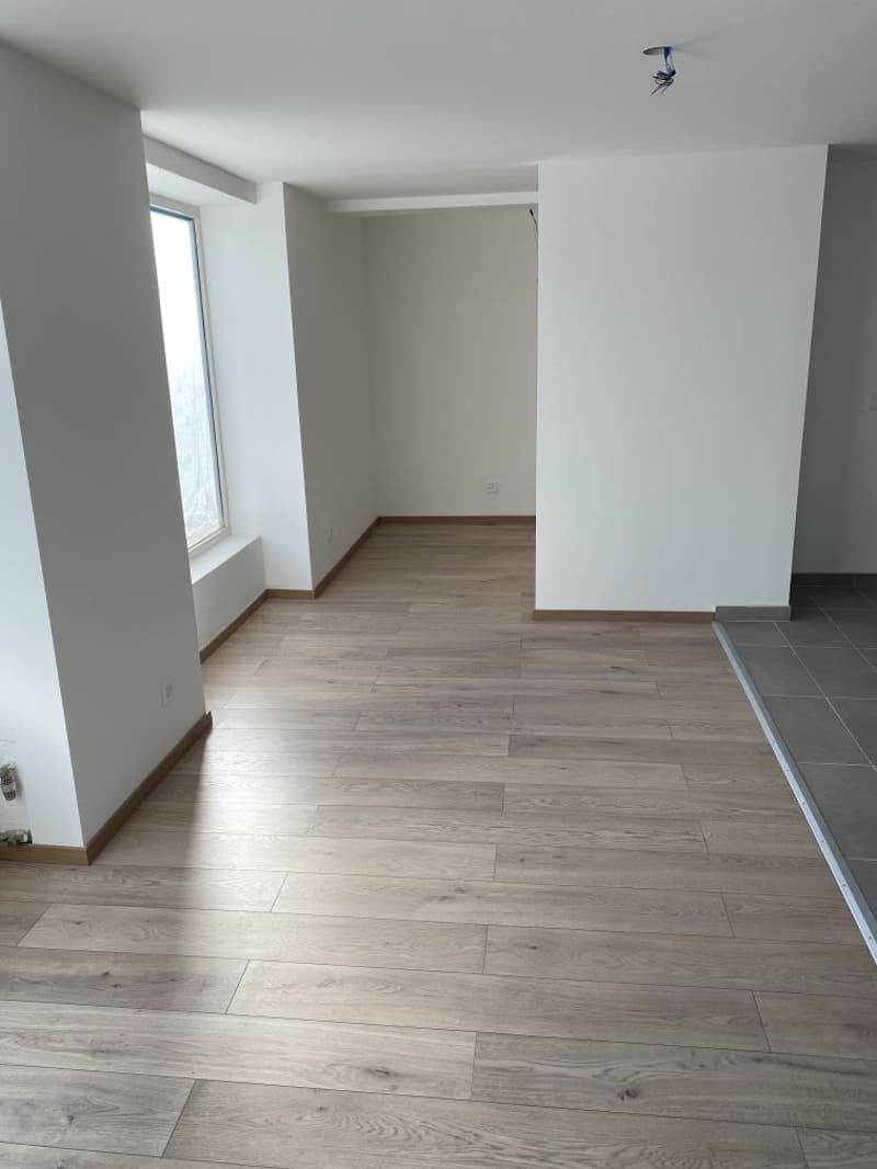 ERSTVERMIETUNG NEUBAU- 1.5 Zimmerwohnung zu vermieten! (6)