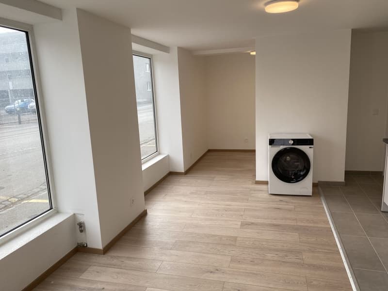 ERSTVERMIETUNG NEUBAU- 1.5 Zimmerwohnung zu vermieten! (5)