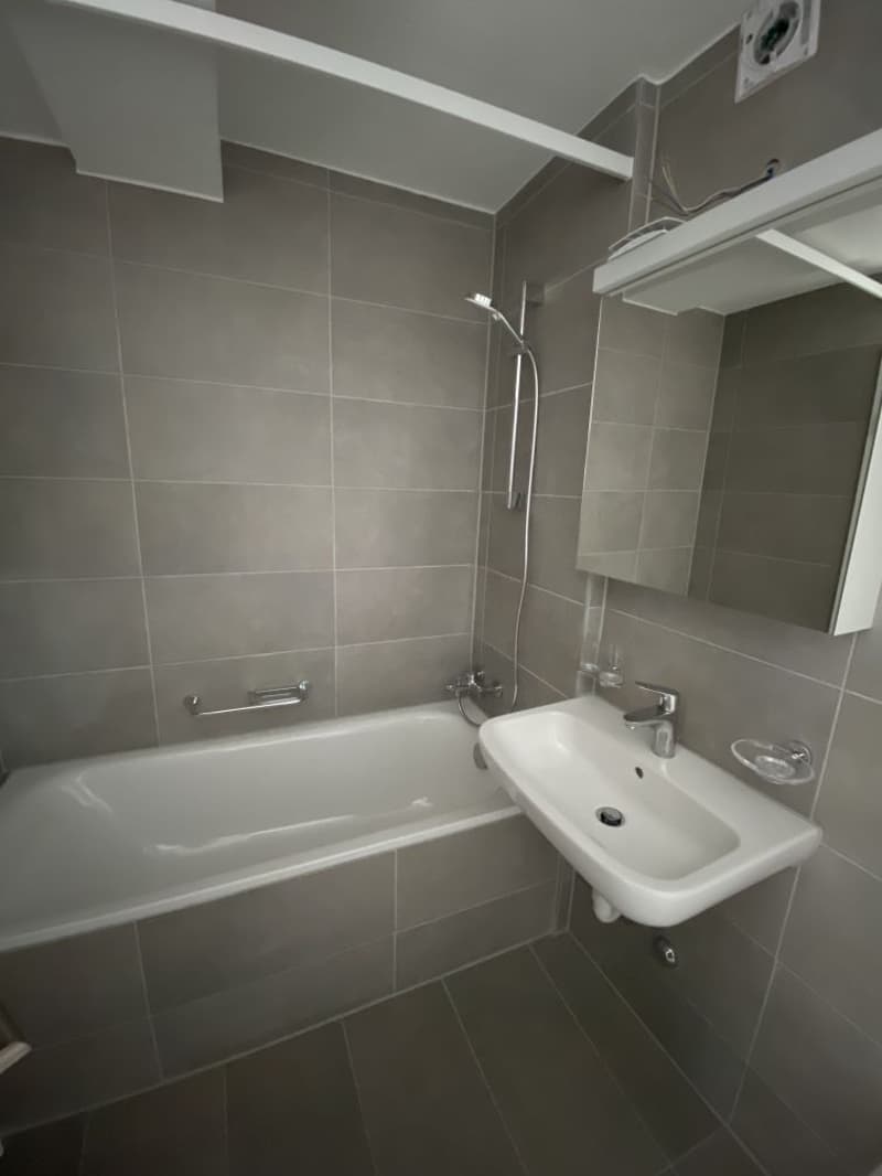 ERSTVERMIETUNG NEUBAU- 1.5 Zimmerwohnung zu vermieten! (4)