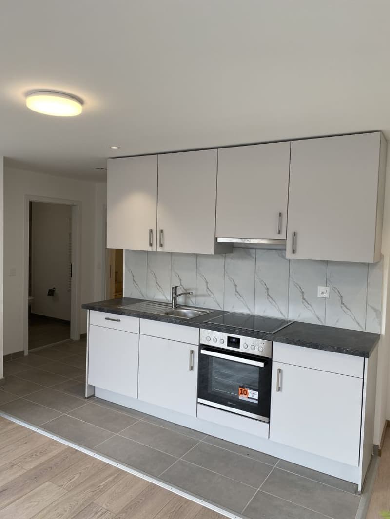ERSTVERMIETUNG NEUBAU- 1.5 Zimmerwohnung zu vermieten! (2)