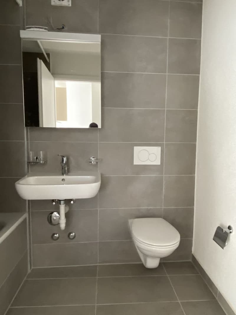 ERSTVERMIETUNG NEUBAU- 1.5 Zimmerwohnung zu vermieten! (3)