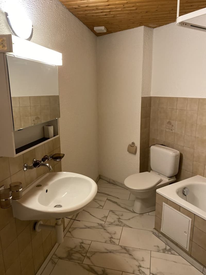 Magnifique appartement 4.5 pièces ! Un loyer offert! (9)