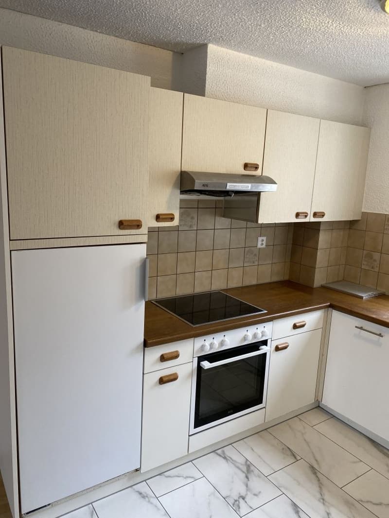 Magnifique appartement 4.5 pièces ! Un loyer offert! (2)