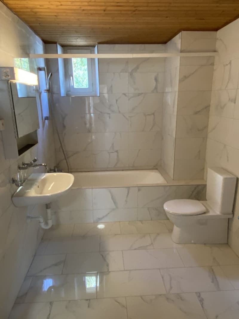 Magnifique appartement 4.5 pièces ! Un loyer offert! (7)
