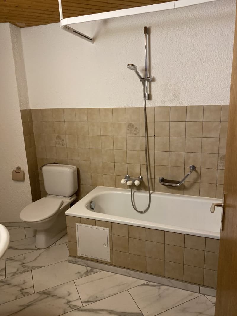 Magnifique appartement 4.5 pièces ! Un loyer offert! (8)