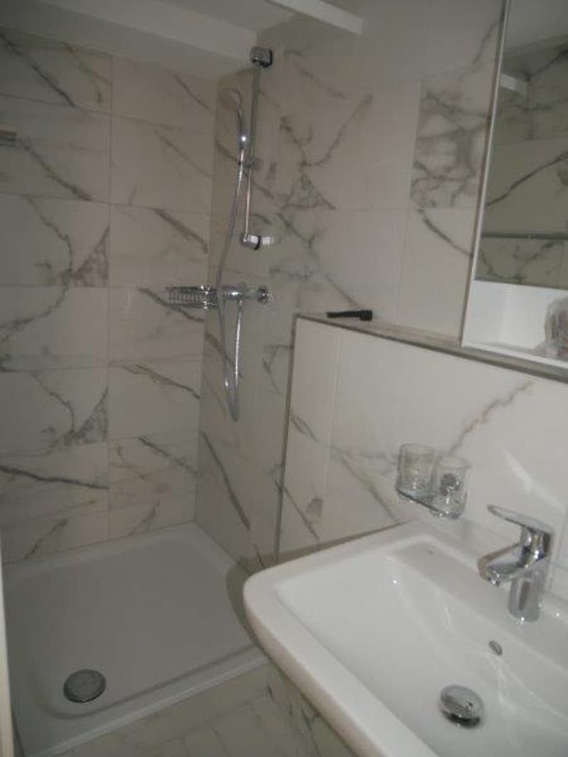 Renovierte 1,5-Zimmer-Wohnung zu vermieten (6)