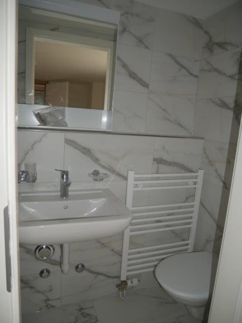 Renovierte 1,5-Zimmer-Wohnung zu vermieten (7)