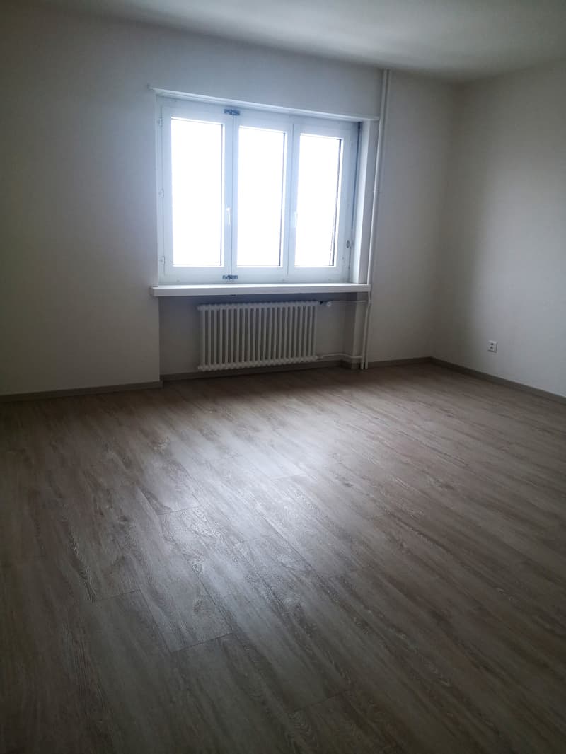 Magnifque Appartement 3.5 pièces avec balcon et vue au Locle (4)