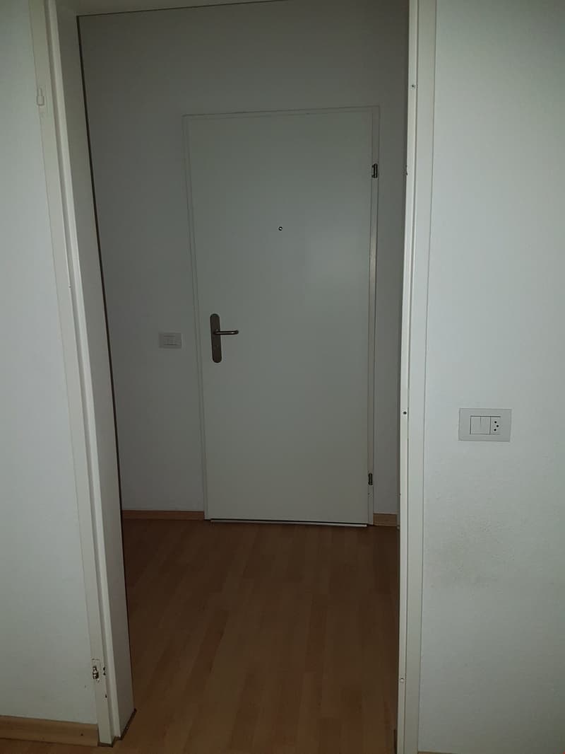 white wall, wooden floor, entrance door