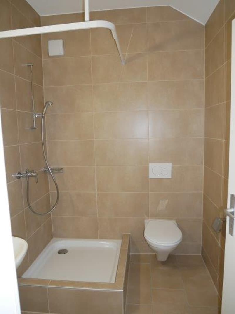 small bathroom with shower, toilet, and sink