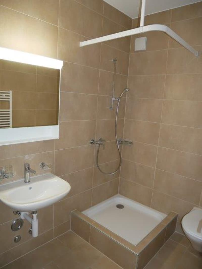 New building! Converted studio attic apartment for rent! (4)