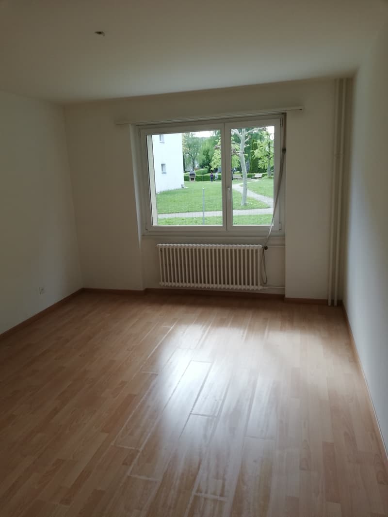 hardwood floors, large window, white walls, white radiator