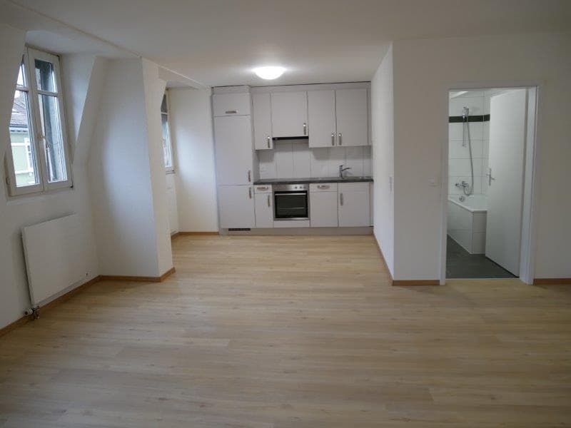 Renovierte 1-Zimmer-Wohnung an sehr zentrale Lage zu vermieten (4)