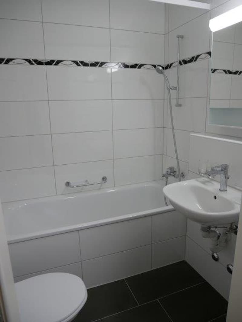 Renovierte 1-Zimmer-Wohnung an sehr zentrale Lage zu vermieten (10)