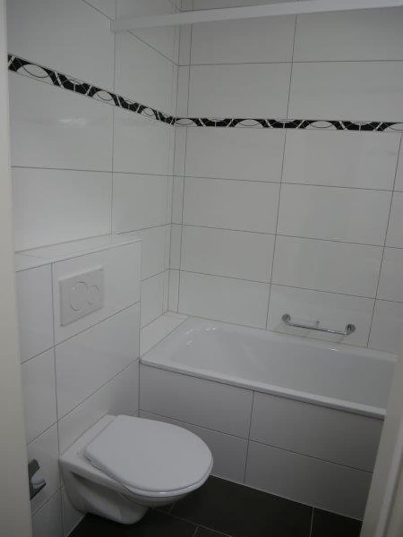 Renovierte 1-Zimmer-Wohnung an sehr zentrale Lage zu vermieten (9)