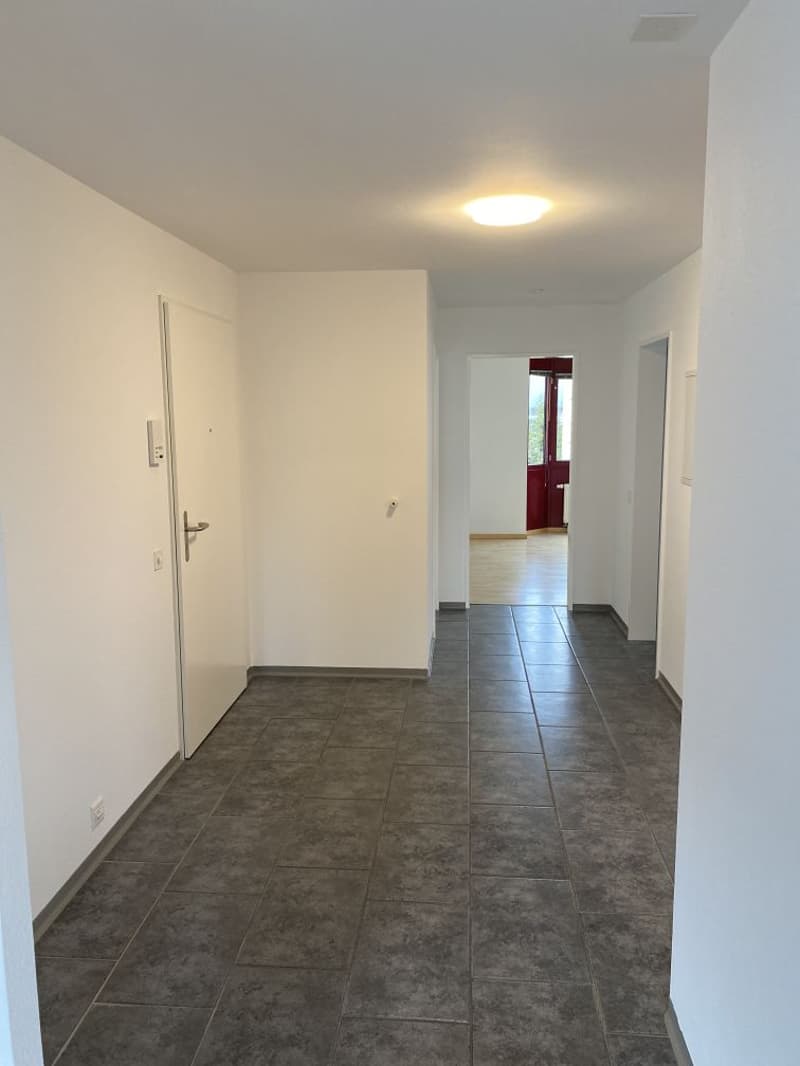 Empty hallway, gray tiles, white walls, white door, white ceiling, single light fixture