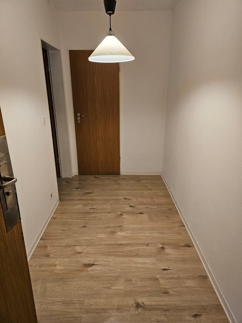 empty room, wooden floor, white walls, brown wooden door, power outlet, white ceiling light