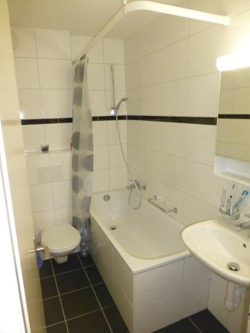 Beautiful 4.5-room apartment for rent (5)