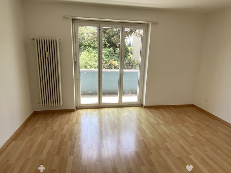 Wunderschöne 4.5-Zimmer-Wohnung zu vermieten (7)