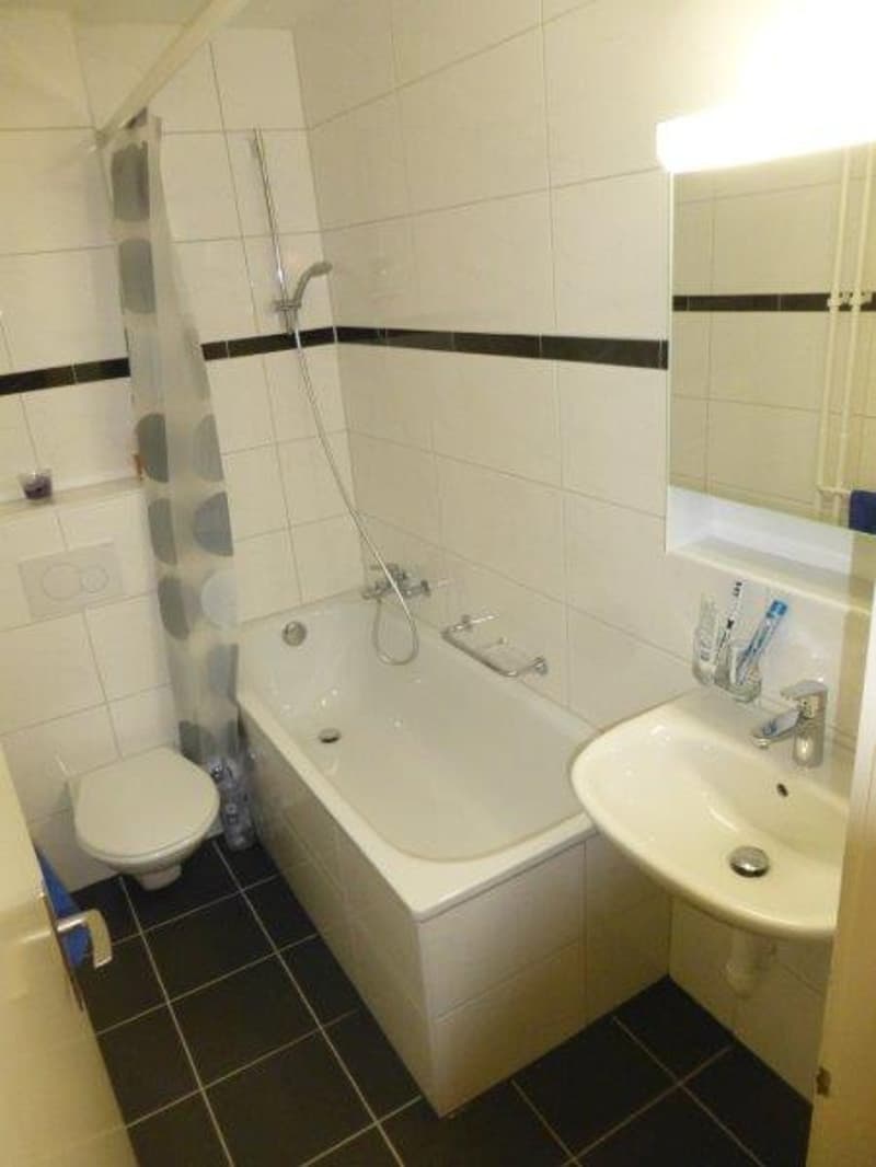 Beautiful 4.5-room apartment for rent (6)