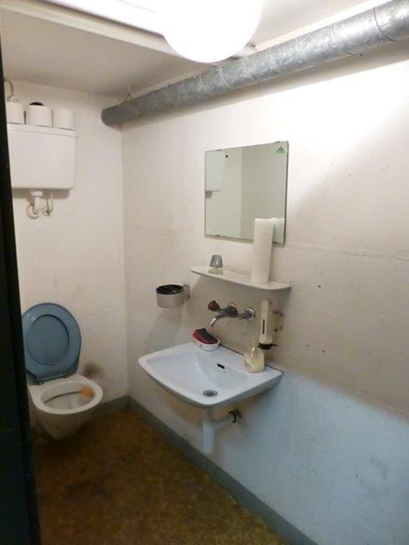 small room with toilet, sink, mirror and wall shelf