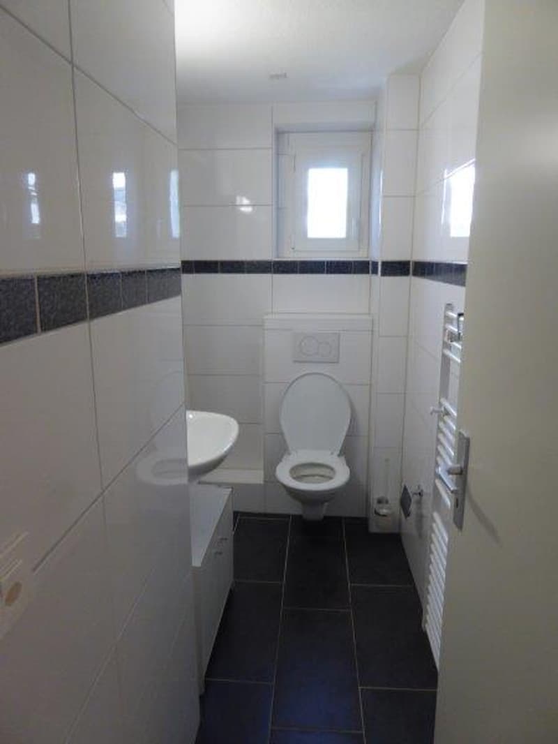 small bathroom, white walls and floor, black tiles, toilet, sink, radiator