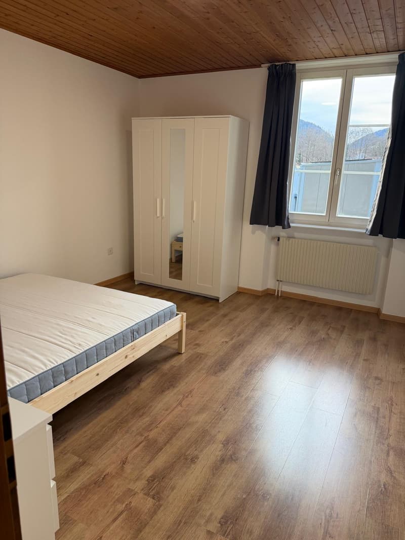 Room: a single bed, white wardrobe with mirrors, wooden floor, window with view, radiator