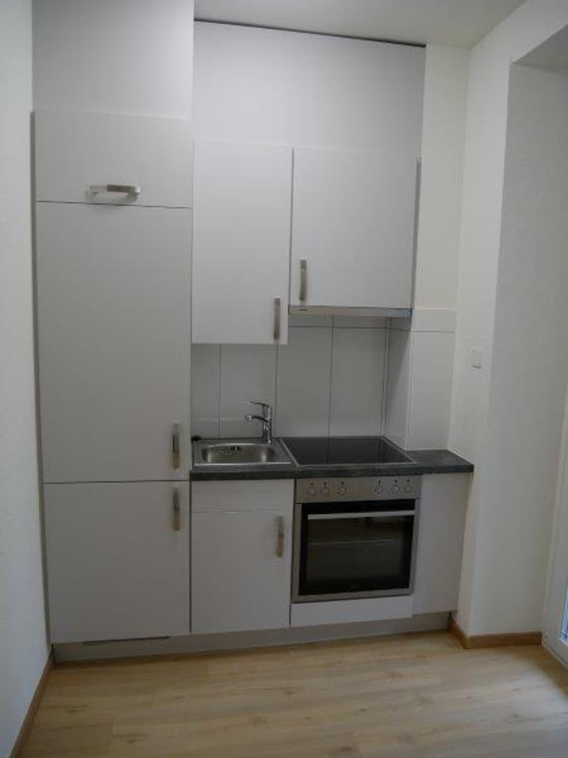 Wunderschöne moderne 1-Zimmer-Wohnung mit Balkon (2)