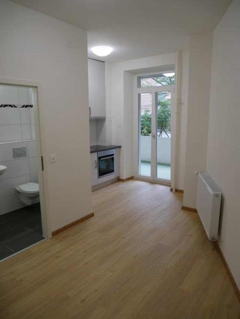 Wunderschöne moderne 1-Zimmer-Wohnung mit Balkon (5)