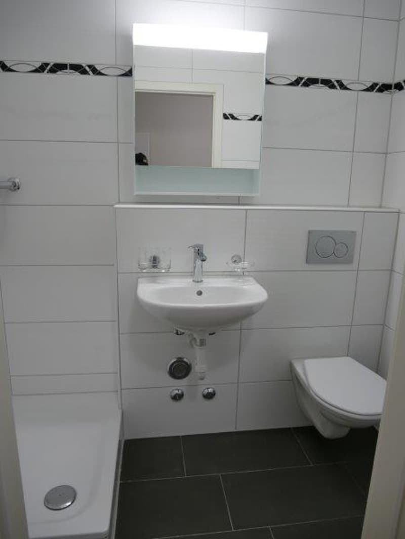 Wunderschöne moderne 1-Zimmer-Wohnung mit Balkon (7)
