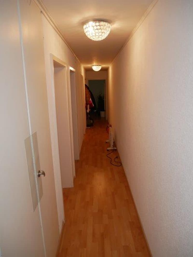 Charmante 4-Zimmer-Wohnung mit Balkon und schöner Aussicht in Herisau (2)