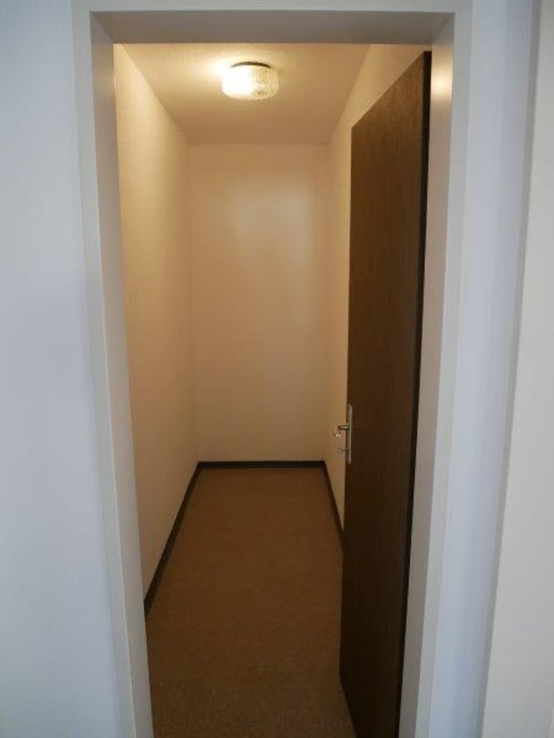 Empty hallway with white walls, brown floor, and a door at the end