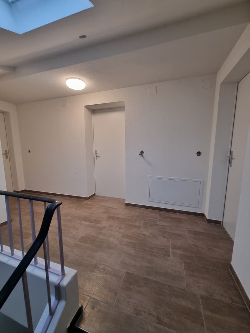 Charmant appartement sous les toits de 1 pièce à Bévilard (6)