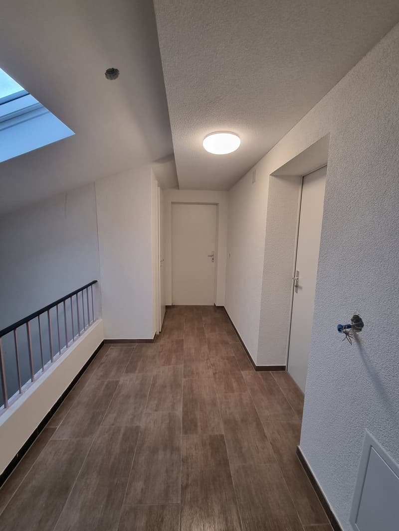 Charmant appartement sous les toits de 1 pièce à Bévilard (7)