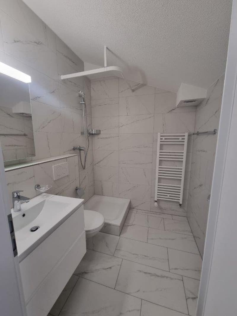 Charmant appartement sous les toits de 1 pièce à Bévilard (5)