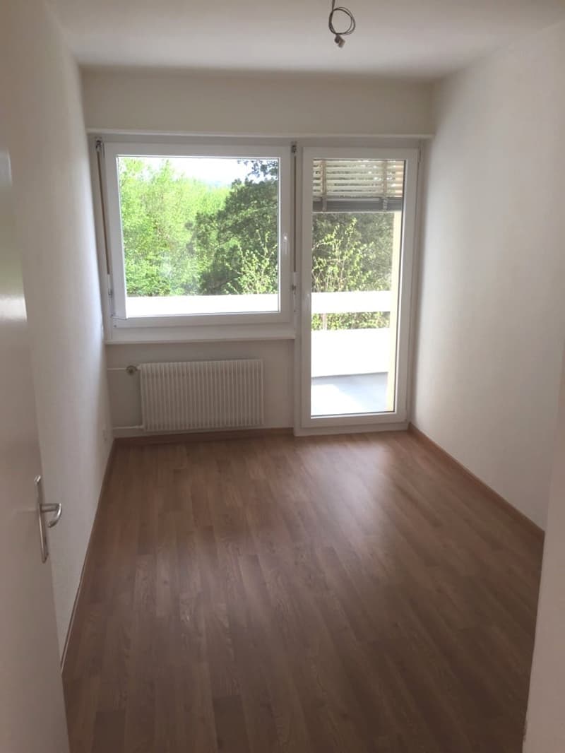 Herrliche moderne 4.5 Zimmer Wohnung zu vermieten (3)